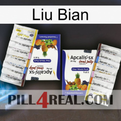 Liu Bian 12